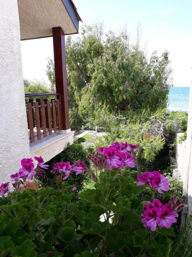 Villa Eva Sul Mare Area "A" 波扎洛 外观 照片
