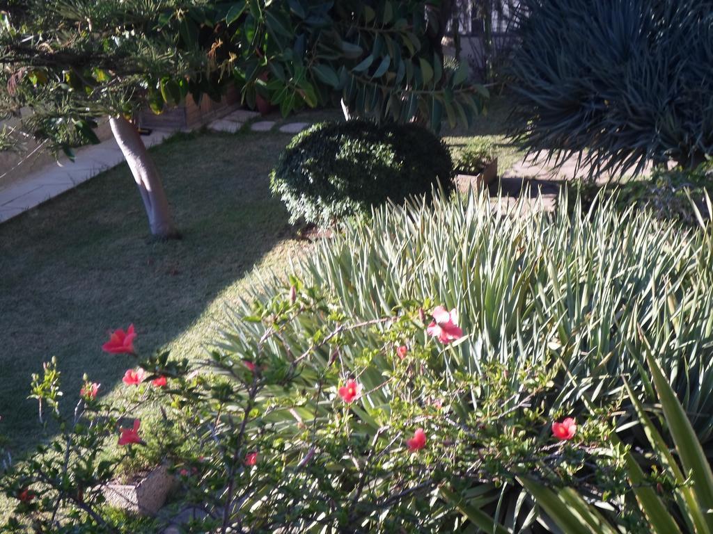 Villa Eva Sul Mare Area "A" 波扎洛 客房 照片